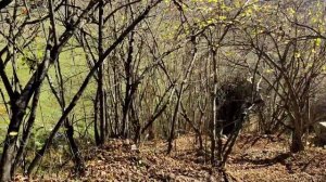 Республика Дагестан. Хивский район Село Куг