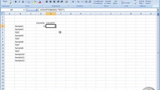 20 Excel Countif Counta : Advanced Excel Training