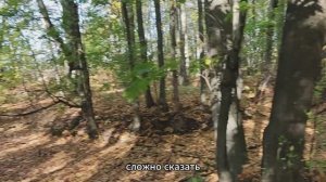 Здесь была усадьба помещика  с комплексом строений. Осмотр и раскопки под Вырыпаево. 29092023.