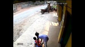 Когда коровы нападали на людей