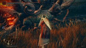 КАК ПОБЕДИТЬ ВЕЛИКАНА ПЕЧИ ELDEN RING DLC Shadow of the Erdtree