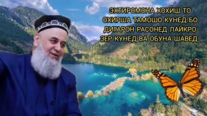 БАДБИНИ БАЙНИ МУЛОХО ХОЧИ МИРЗО САВОЛУ ЧАВОБ