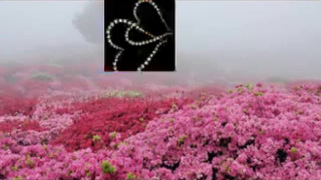 Maestro Jeyhun-MEMORIES смотреть онлайн