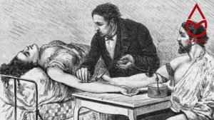 ДонорТВ О донорстве крови