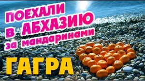 АБХАЗИЯ ГАГРА! КАКИЕ ЦЕНЫ НА РЫНКЕ В АБХАЗИИ? СТОЛЬКО МАНДАРИН МЫ ЕЩЕ НЕ ЕЛИ))...