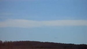 Охота на большую птицу.....