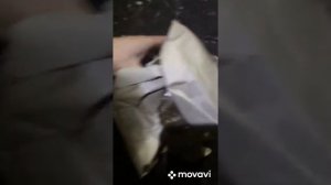 Замена масляного насоса (вакуумного) на Ивеко дейли 3.0