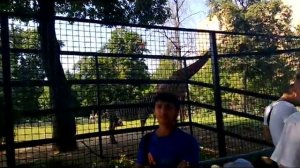 Термез зоопарк 1992 йил кандай булган