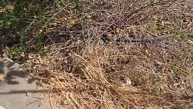 ЗАЕХАЛ ДОМОЙ В СЕЛО! ЧТО ДОМА ЕСТЬ ИНТЕРЕСНОГО? смотреть онлайн