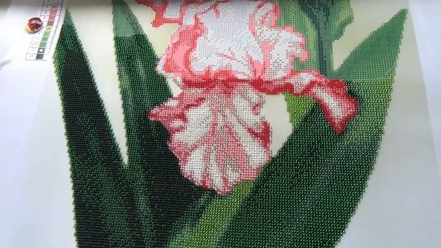 Барвиста вишиванка "Ирисы" Отчет 3 смотреть онлайн