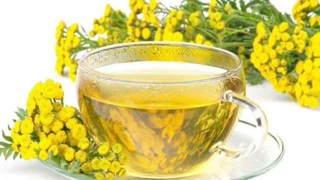 Узнайте, ПОЧЕМУ кровеносные СОСУДЫ становятся ломкими. Пять народных способов укрепления сосудов смотреть онлайн