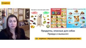 Натуральное питание собак. Виды кормлений собак.