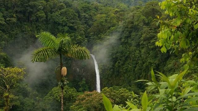 Урок №70 (последний). Как нужно относиться к милостям Аллаха? (Глава 11. Тема 2). смотреть онлайн