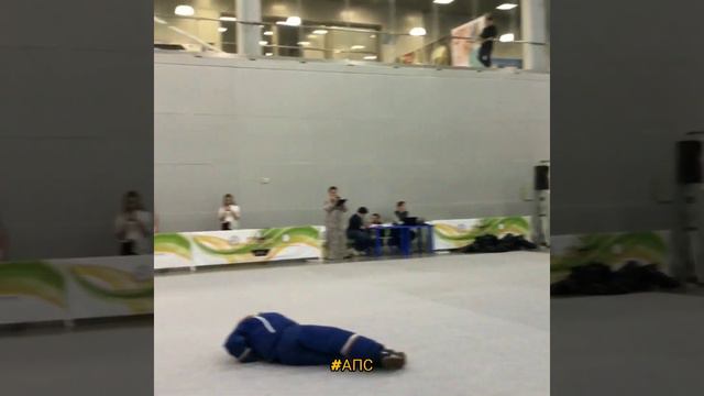 Интернациональная выставка собак всех пород .Показательные выступления смотреть онлайн