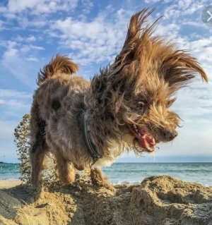 ПРИКОЛЫ ИЮНЬ 2022 - 10 МИНУТ СМЕХА