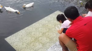 Пхукет.  Озеро ват Чалонг