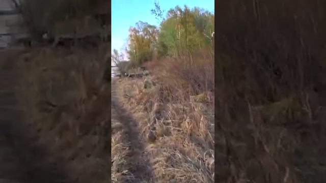 Рыбалка на реке. Открываю сезон рыбалки на донку. #shorts #fishing #рыбалка #рыба