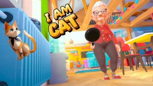 КОТИК РАЗОЗЛИЛ БАБУЛЮ | I Am Cat VR