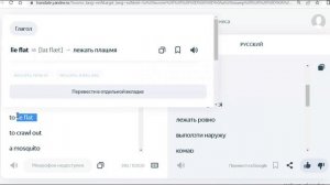 STARLIGHT 6 module 1e page 14 CHECK THESE WORDS