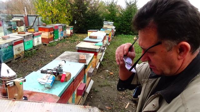 Обработка Дым-пушкой, ППУ Медведи в зимовку смотреть онлайн