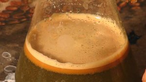 Как хранить железный купорос.