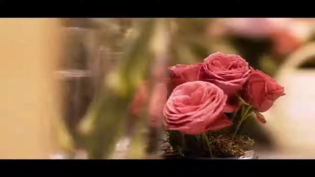 Мы говорим на языке цветов! С любовью, Во имя Розы ? ул. Сечевых Стрельцов 53/51 смотреть онлайн