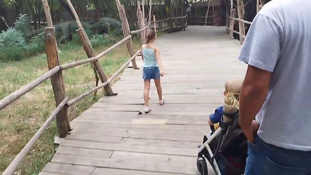 Сафари-Парк в Краснодаре #сафарипарк #краснодар #семья смотреть онлайн