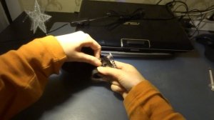 Как закапать капли в ушки крыске