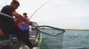 Рыболовная база "Семь Островов" - рыбалка в Астрахани