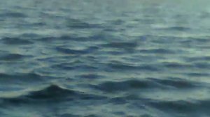 Осенняя щука на Ивинских разливах, осенняя рыбалка на щуку, Ивинские разливы