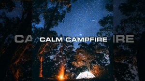 Beach Forest Campfire Ambience