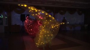 Свето-диодное шоу на свадьбе!