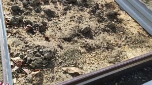 Как я избавилась от травы на дорожках и грядках. Больше не полю и не рыхлю. Как меньше работать.