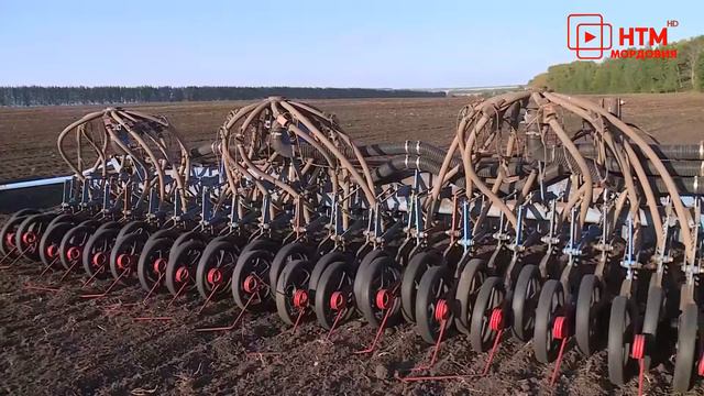 В Мордовии начался сев озимых зерновых культур