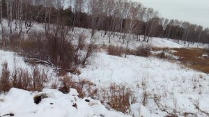 Зимняя природа на окраине города