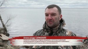 Рыбалка закончена: в Ярославской области начался нерест