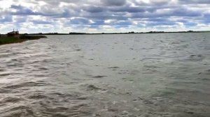 У озера Щекулдук,Кулунда 23 июня 2019