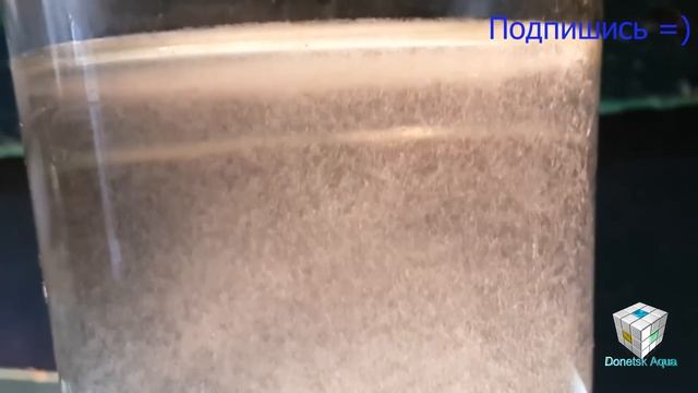 корм для старта малька, Уксусная угрица, Turbatrix aceti, самодельный корм для рыб
