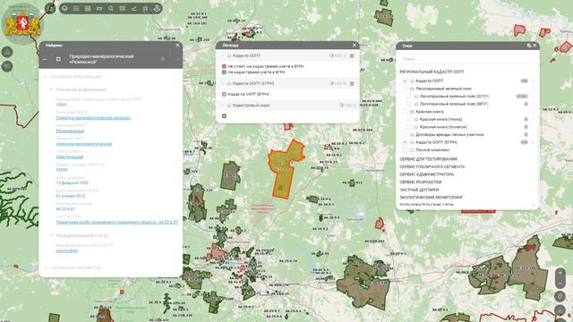 Система РГИС и её функционал