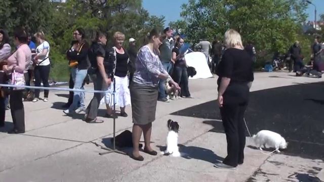 galatea смотреть онлайн