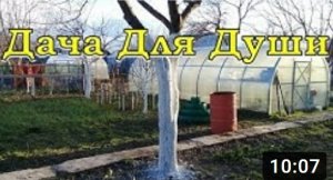 Как выбрать ТЕПЛИЦУ? Все нюансы по полочкам???