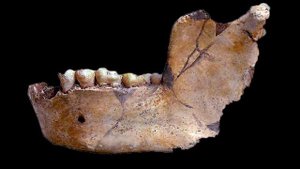 История по-русски | Эволюция человека. #2