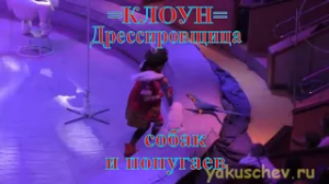 Цирковая программа =Клоун=. Дрессировщица собак и попугаев Наталья Борк.