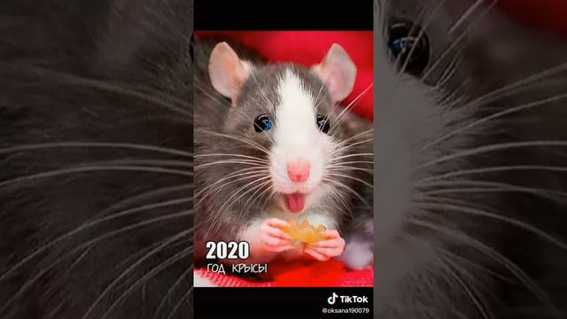 4 января 2020 г.