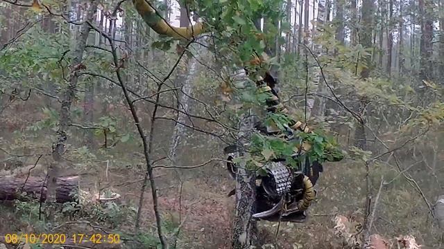 Разработка делянки