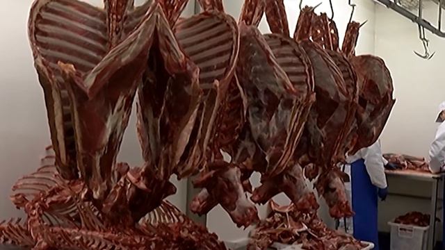 Более 400 тонн оленины заготовили в Приуральском районе смотреть онлайн