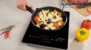 Видеообзор настольной плиты Zigmund & Shtain ZIP-551