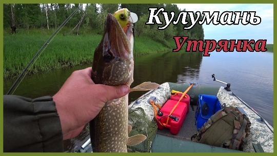 Утренний жор щуки. Рыбалка в ХМАО ..mp4