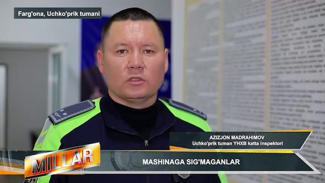 MASHINAGA SIG'MAGANLAR