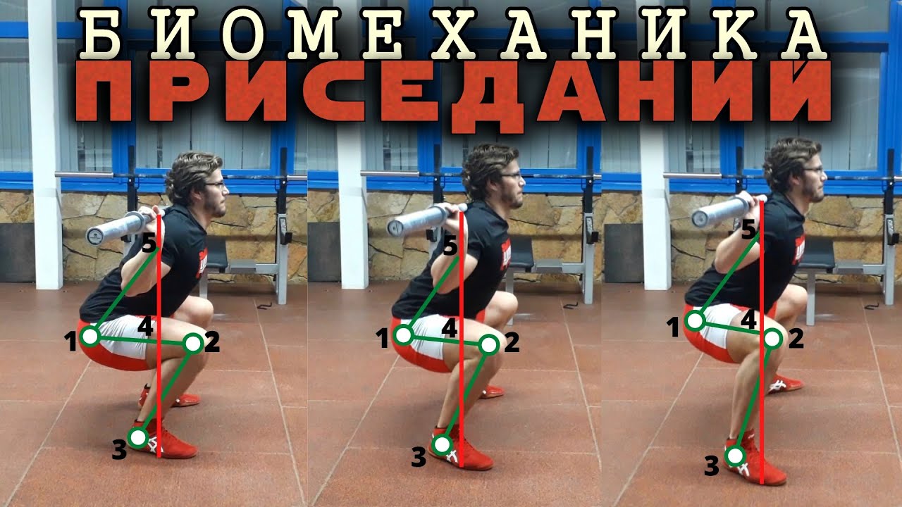 БИОМЕХАНИКА ПРИСЕДАНИЙ. Как нужно приседать